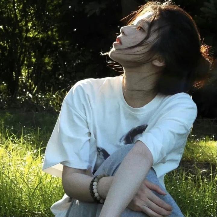 三只小猪